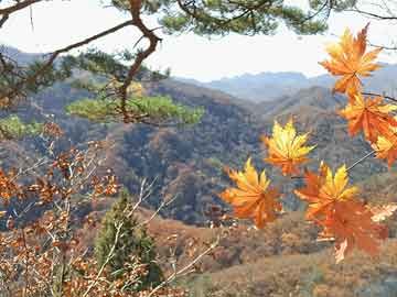 關(guān)于澳門博彩業(yè)與產(chǎn)能釋義的正確解讀——警惕非法博彩活動(dòng)，確保合規(guī)產(chǎn)能落實(shí)