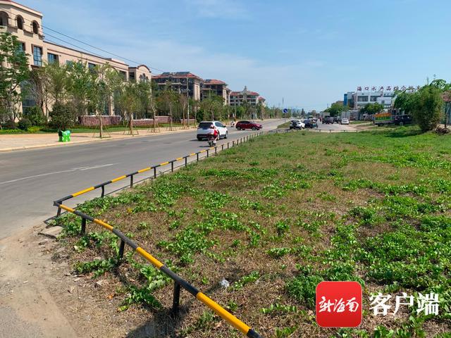 新合埠路最新動(dòng)態(tài)，邁向未來的城市主干道重塑與升級