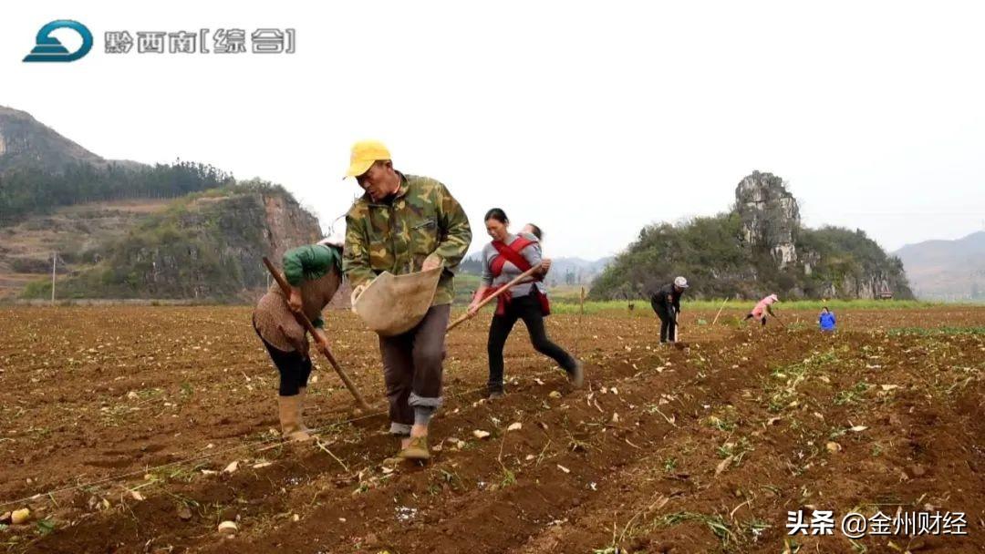 最新興仁下山鎮(zhèn)視頻，揭示一個美麗而充滿活力的鄉(xiāng)村面貌