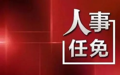 中央最新人事任免，蔡某某的新職務(wù)與未來展望