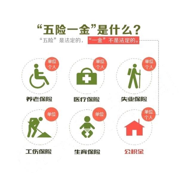 五險最新政策解析及其影響