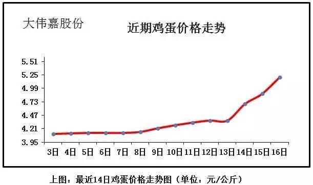 全國最新雞蛋價(jià)格行情分析