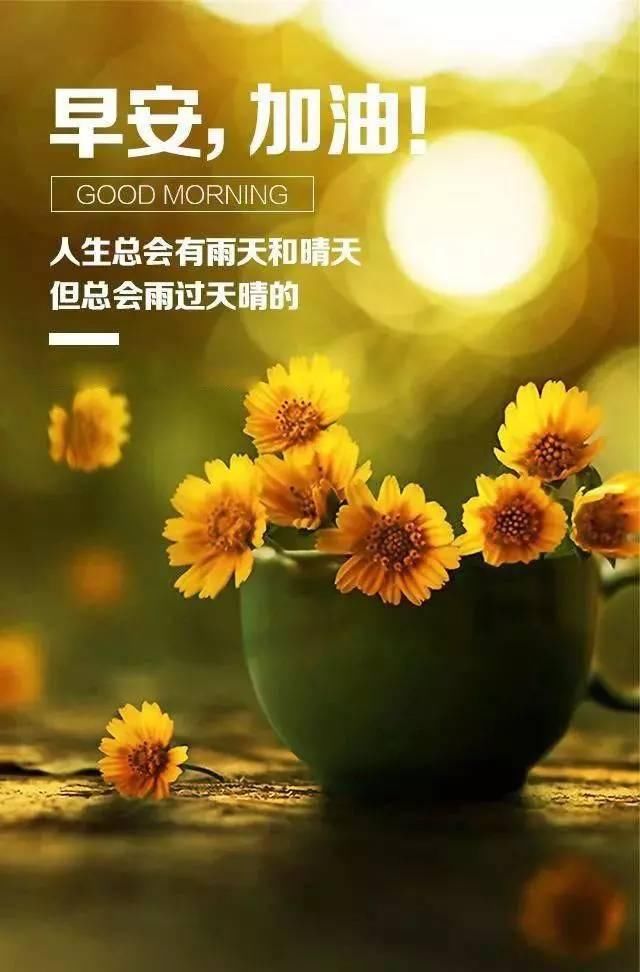 最新早安勵(lì)志語錄帶圖，開啟充滿活力的每一天